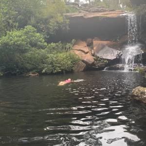 Meet your Posher, Irwin